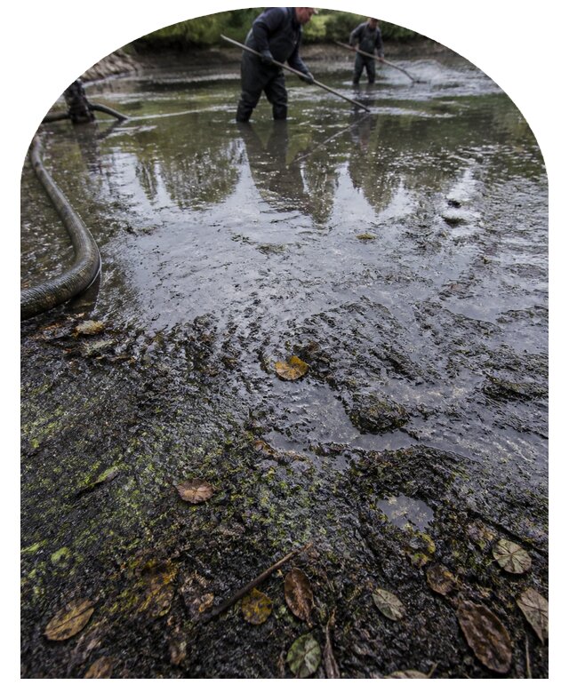Очистка пруда в Чехове от ила мусора и водорослей с вывозом